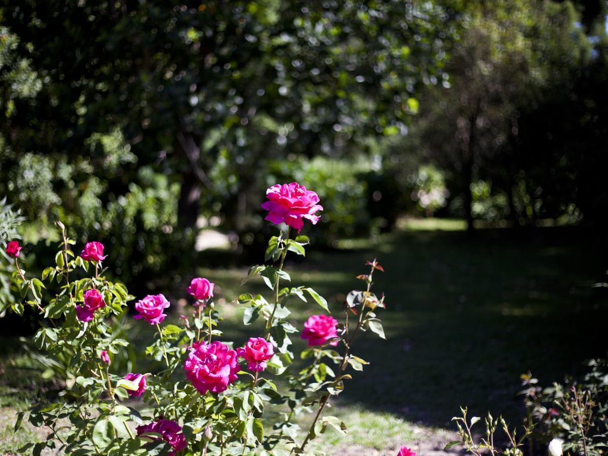 Andelomi Nature'S Rest Stormsrivier Extérieur photo