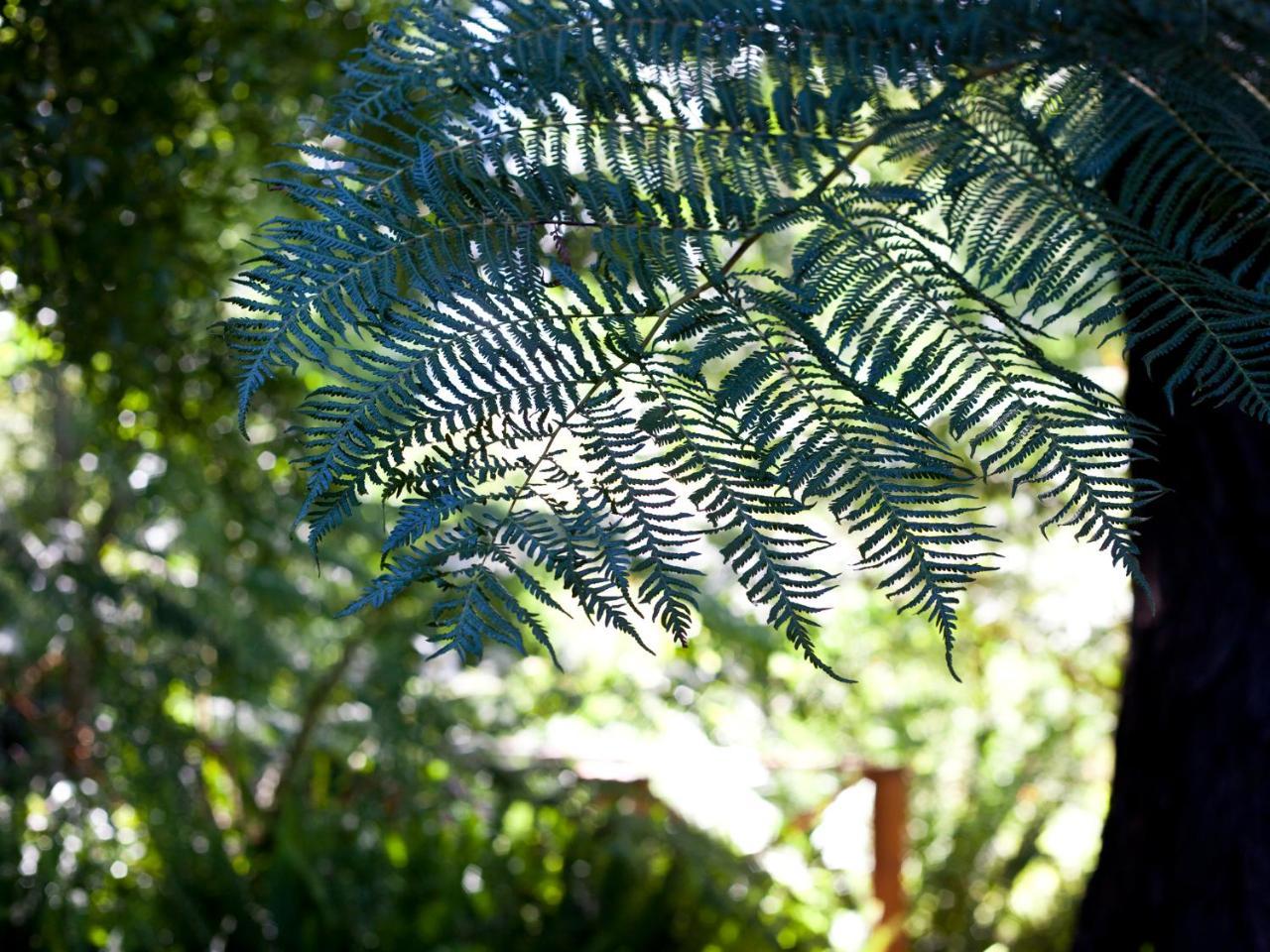 Andelomi Nature'S Rest Stormsrivier Extérieur photo